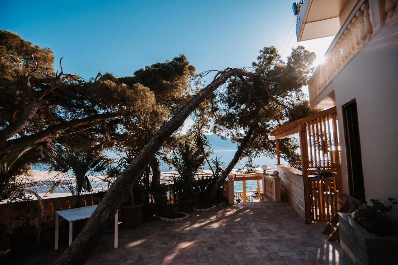 Inn Hotel Vlore 4*, Kanine